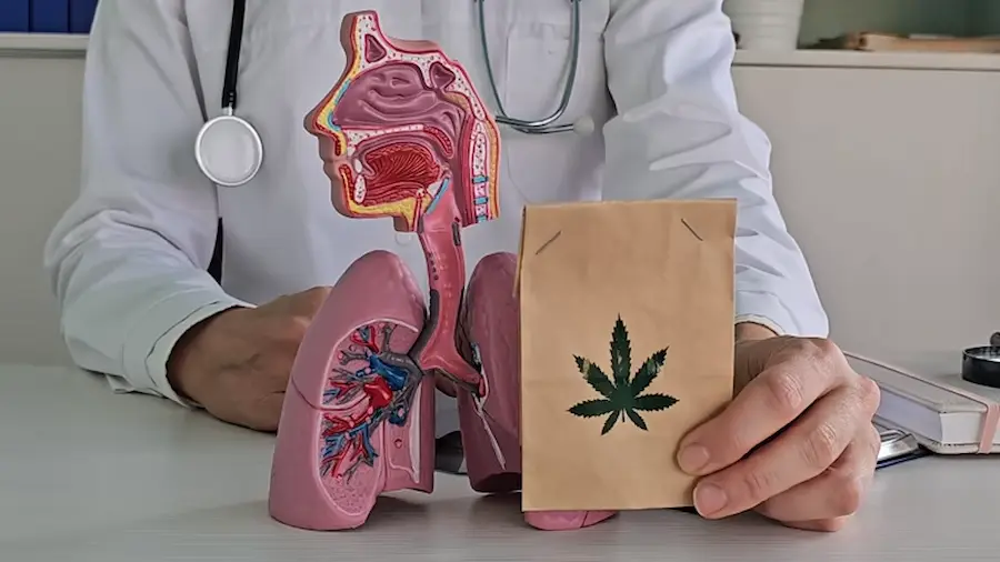 كم يوم تستمر أعراض انسحاب الحشيش؟